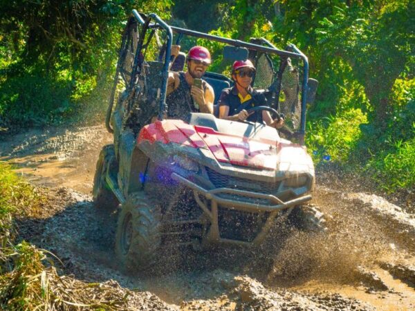 Buggy or ATV tour on coffee route