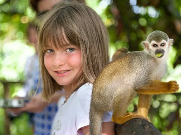 Monkeyland