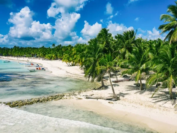 Private Saona Tour