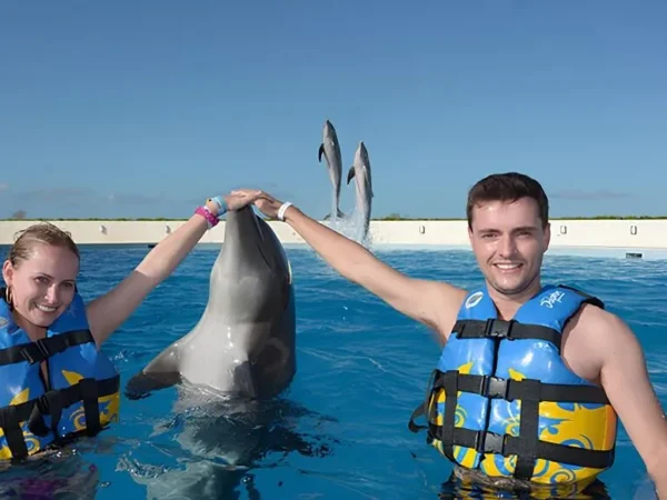 Dolphin Explorer